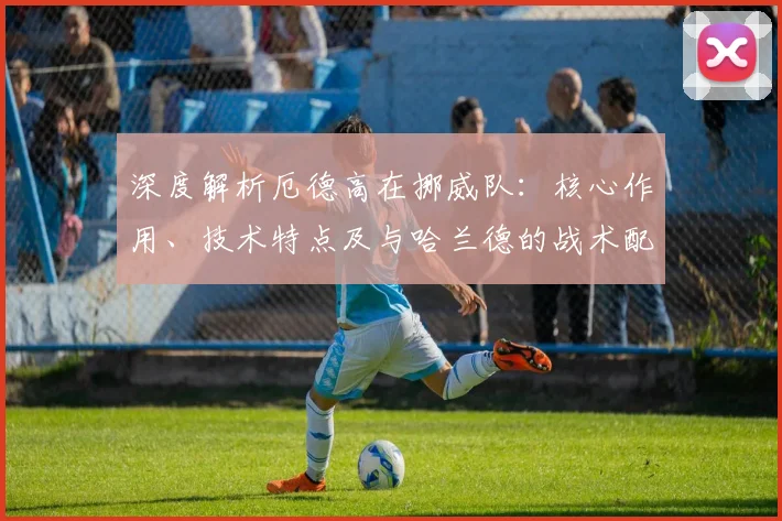 深度解析厄德高在挪威队:核心作用、技术特点及与哈兰德的战术配合